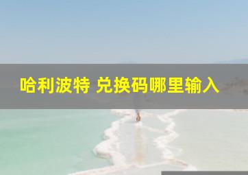 哈利波特 兑换码哪里输入